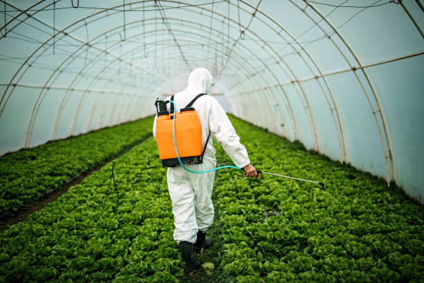 Best Mosquito Control Services  in Blackhawk, SD