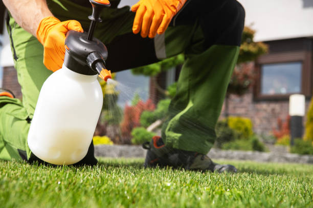 Best Affordable Pest Control Services  in Blackhawk, SD