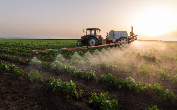 Best Commercial Pest Control Services  in Blackhawk, SD