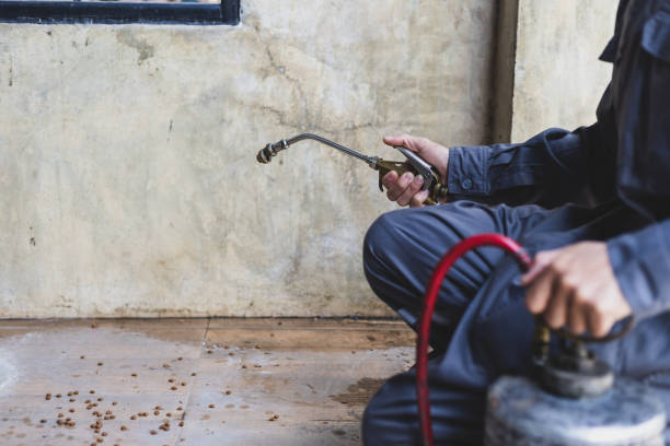 Best Ant Control Services  in Blackhawk, SD